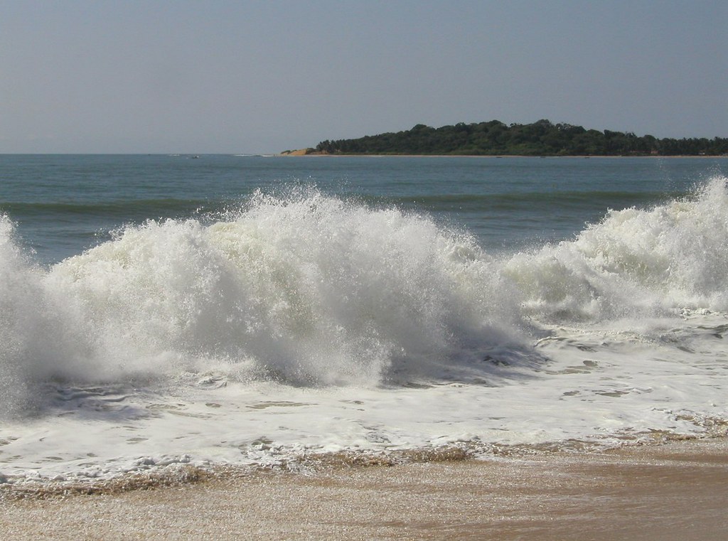 Surf breaking off the east coast in season