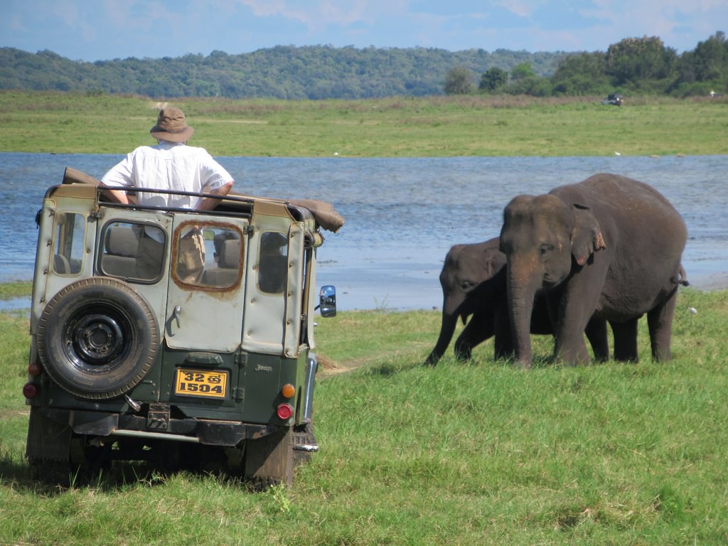 Safari jeep beside elephants