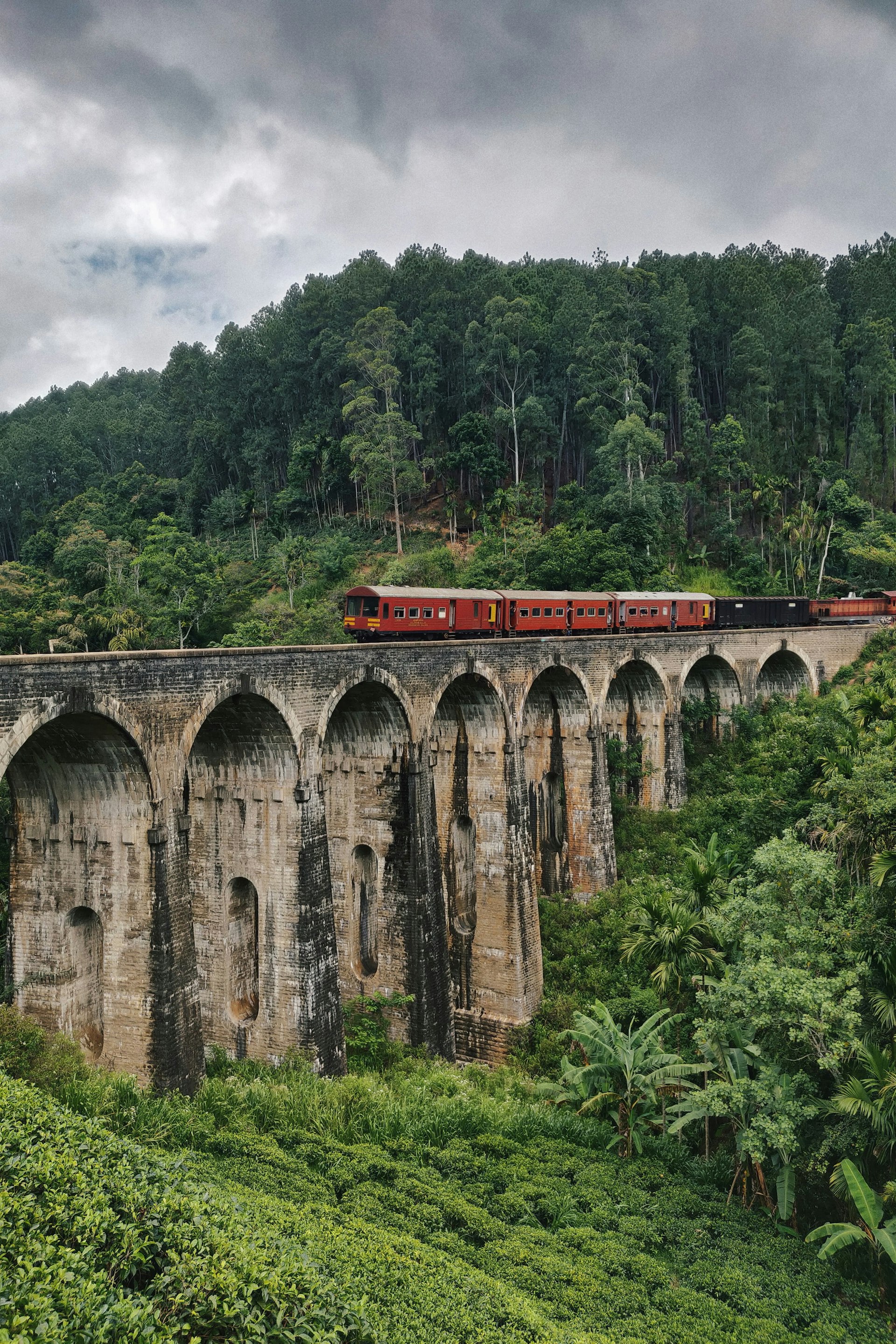 Train crossing through the hill forest
