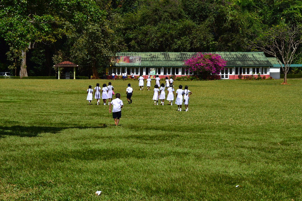Royal Botanic Gardens, Peradeniya