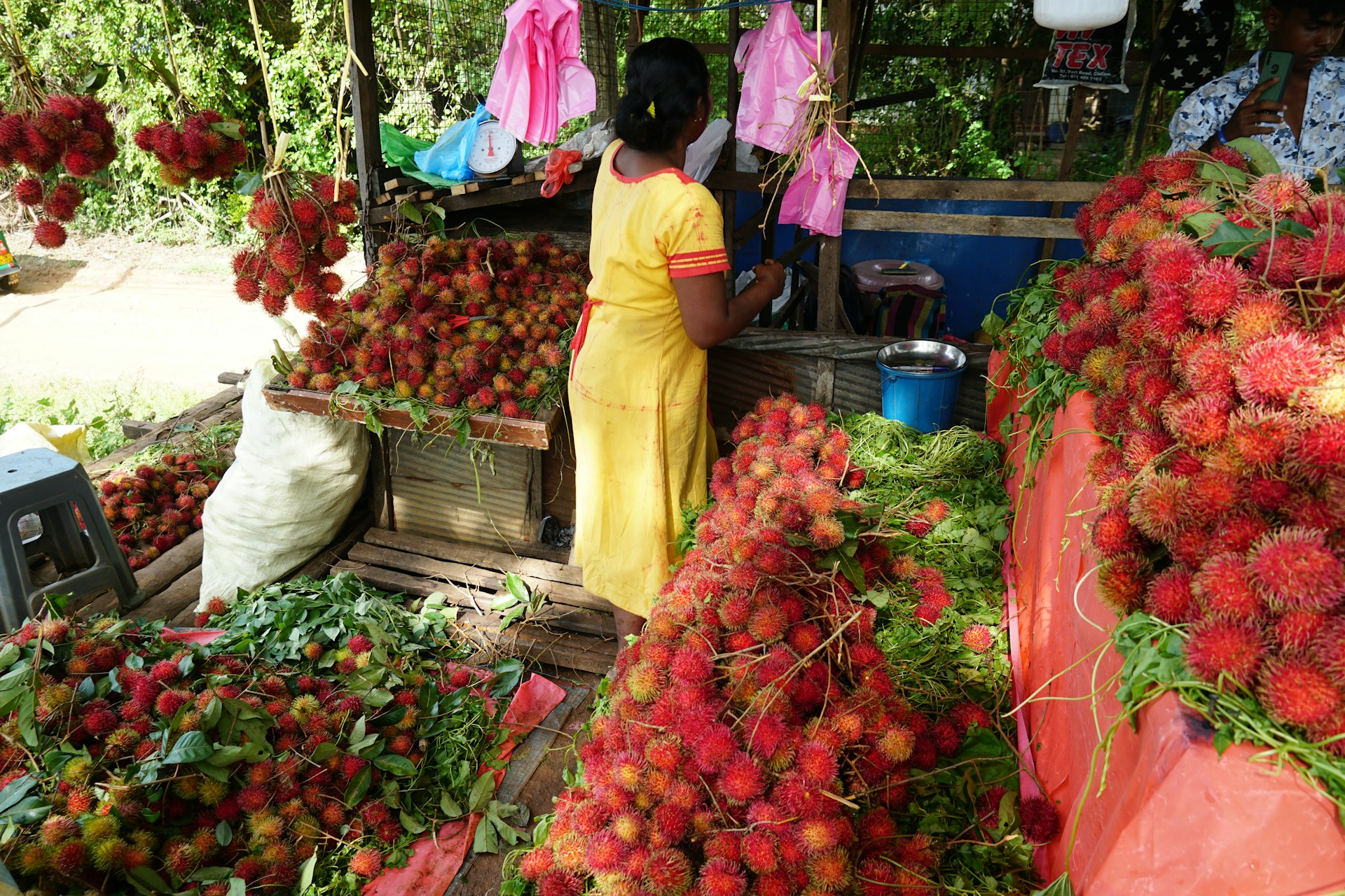 Fruit stand