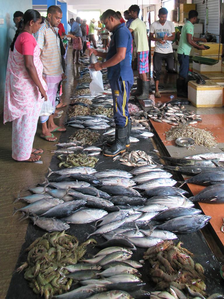 Vendors and shoppers at the Trincomalee fish market