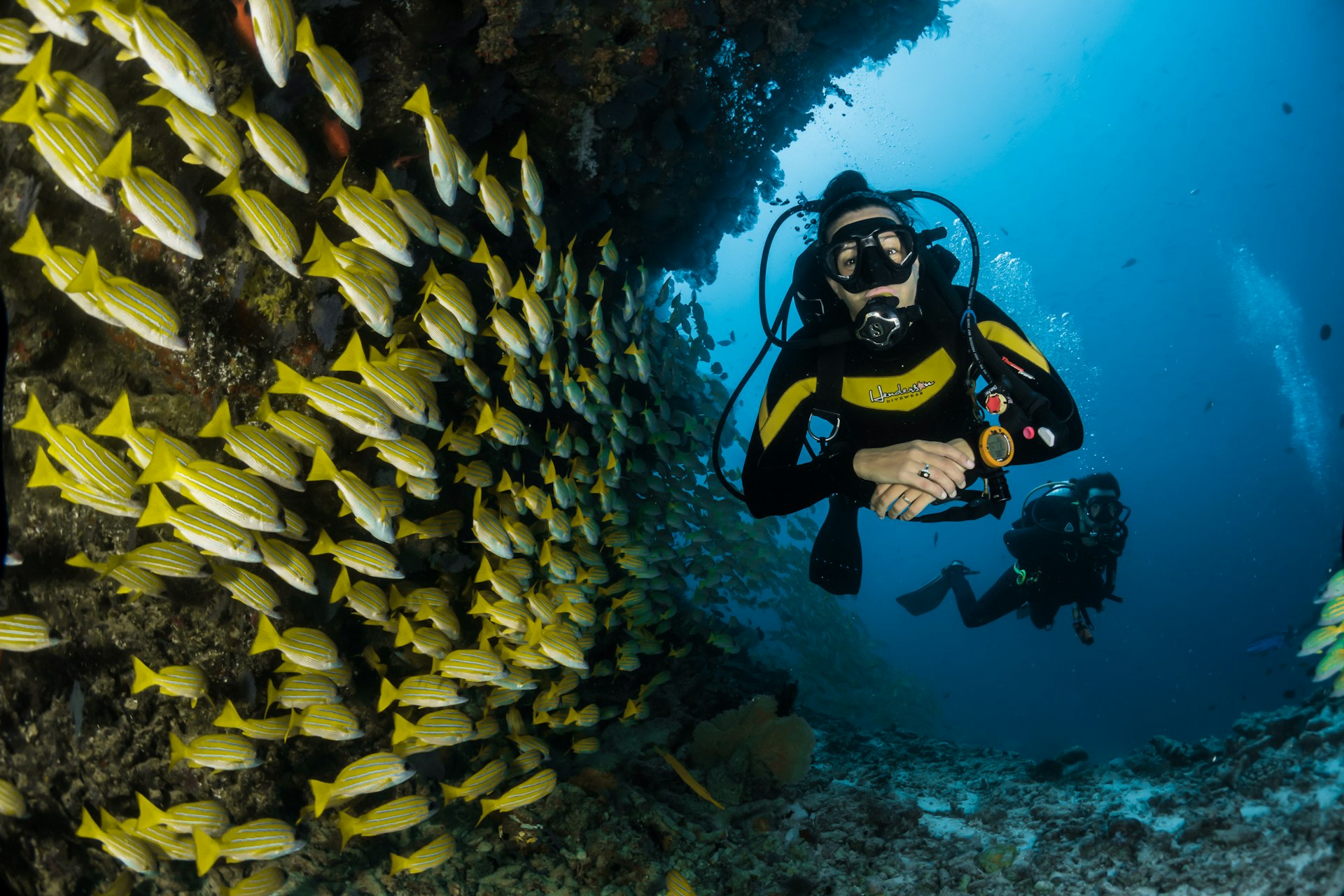 Two scuba divers underwater