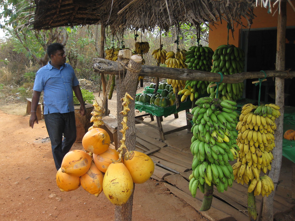 King coconuts and bananas at a roadside fruit stall