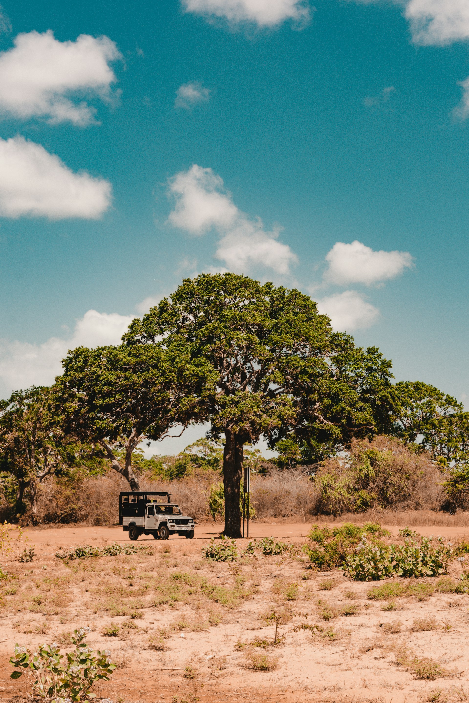 Safari jeep on a park track
