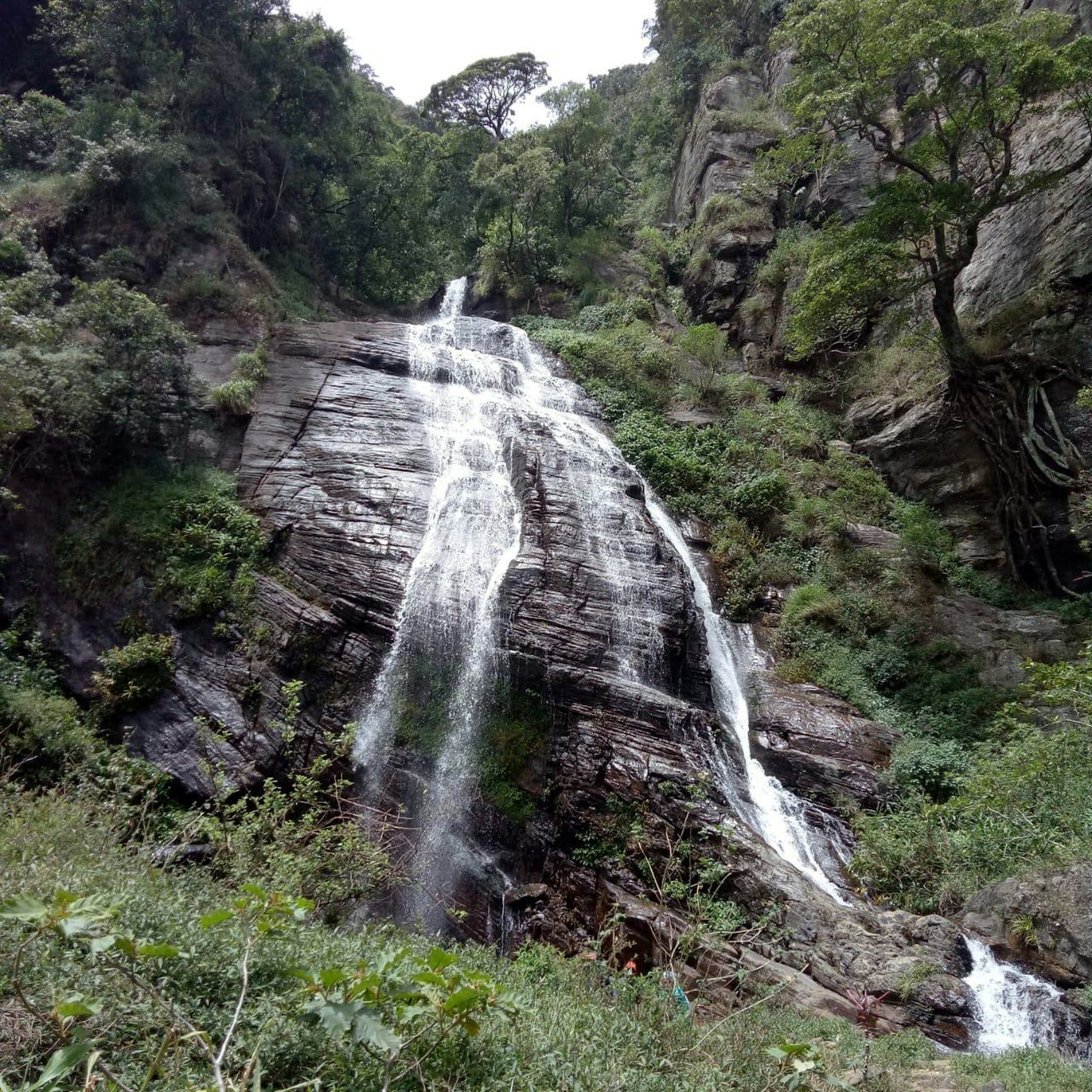 Diyaluma Falls and Upper Diyaluma Pools cover photo