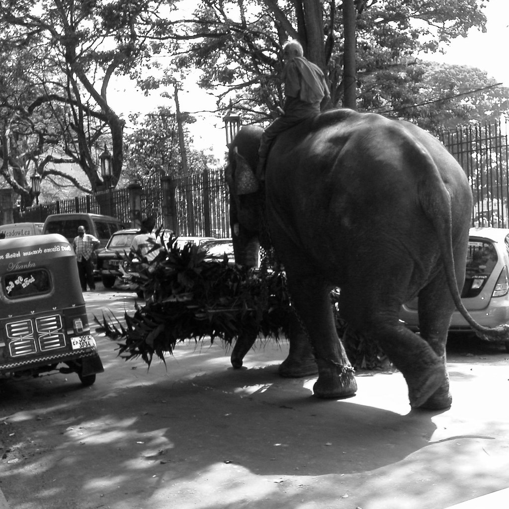 Kandy cover photo