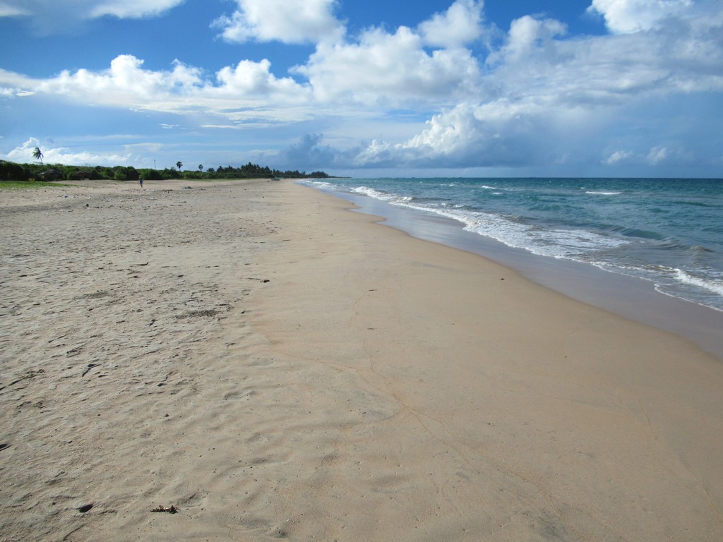 Trincomalee cover photo