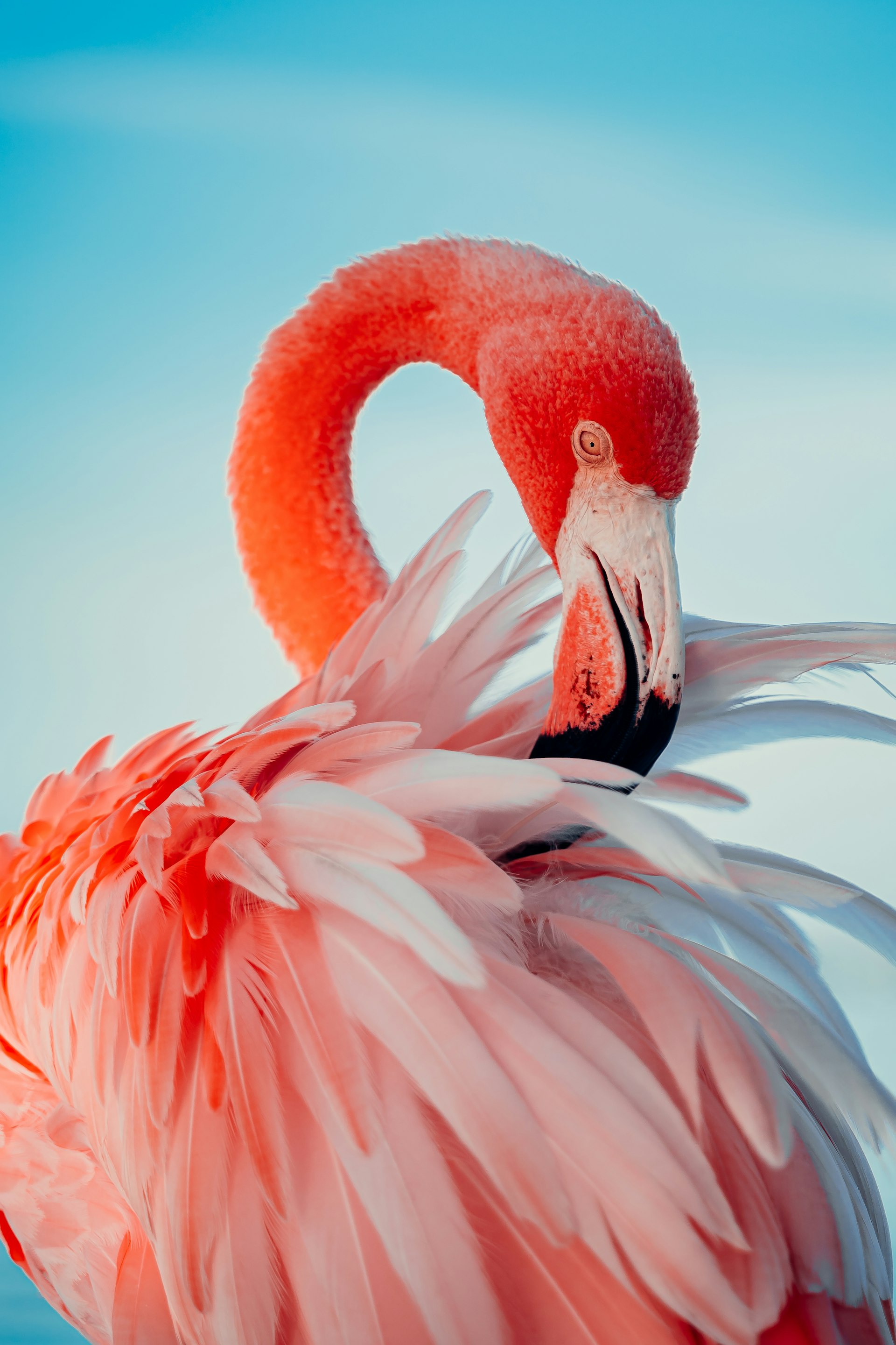 Chundikulam National Park cover photo