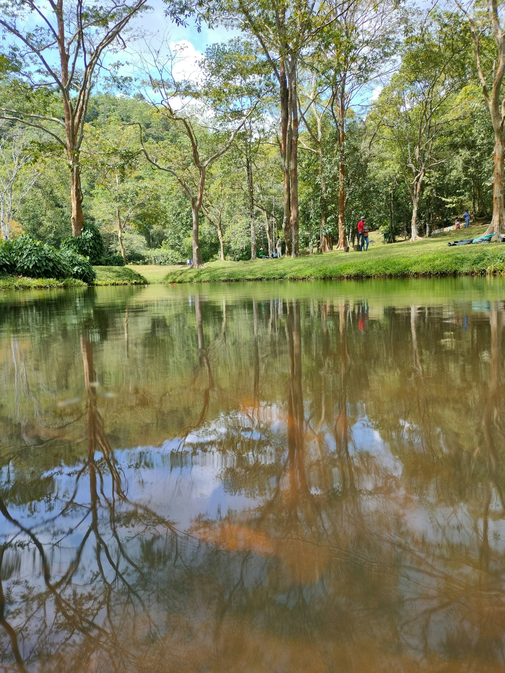 Henarathgoda Botanical Garden — Gampaha Travel Guide cover illustration