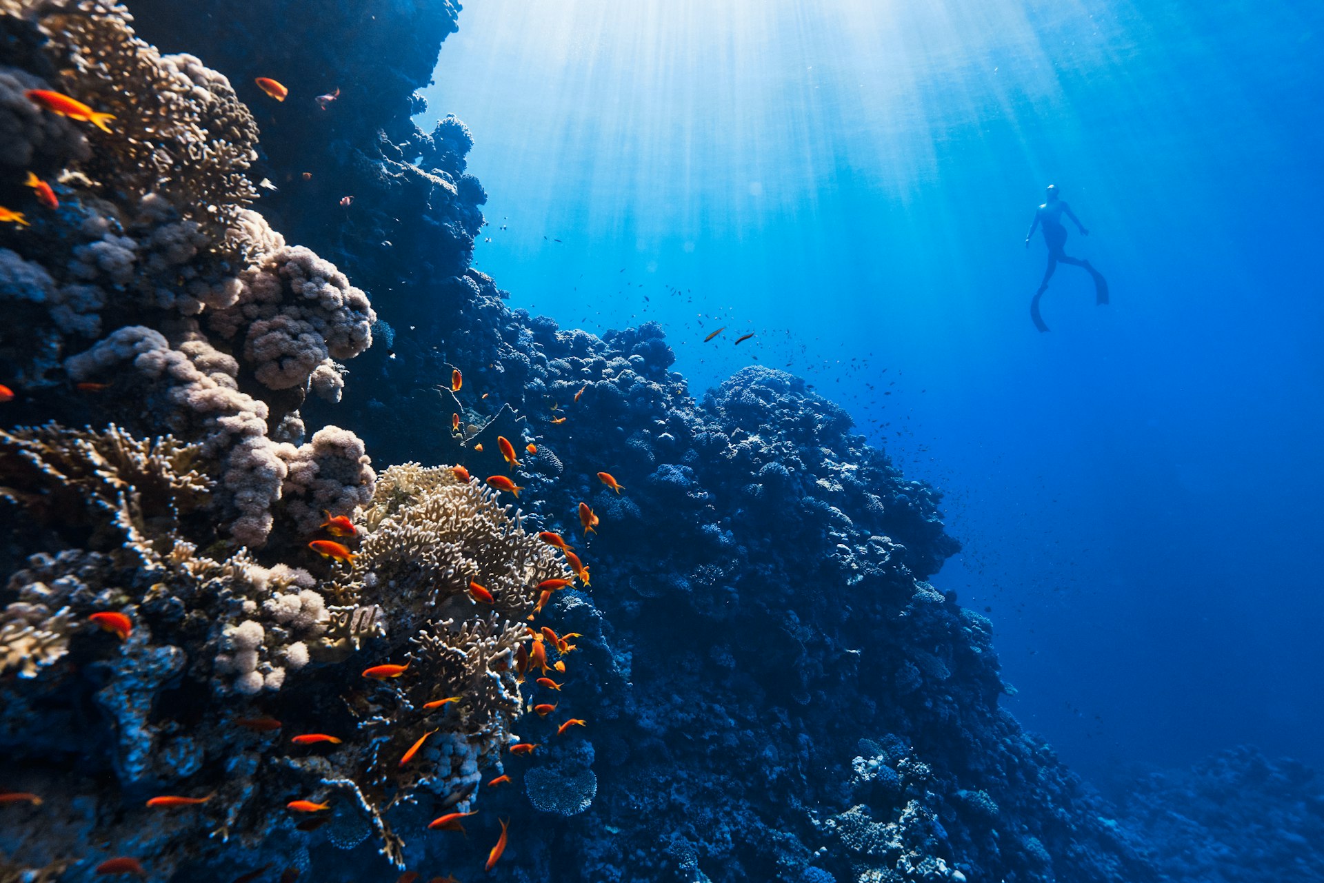 Hikkaduwa Coral Sanctuary — Galle Travel Guide cover illustration