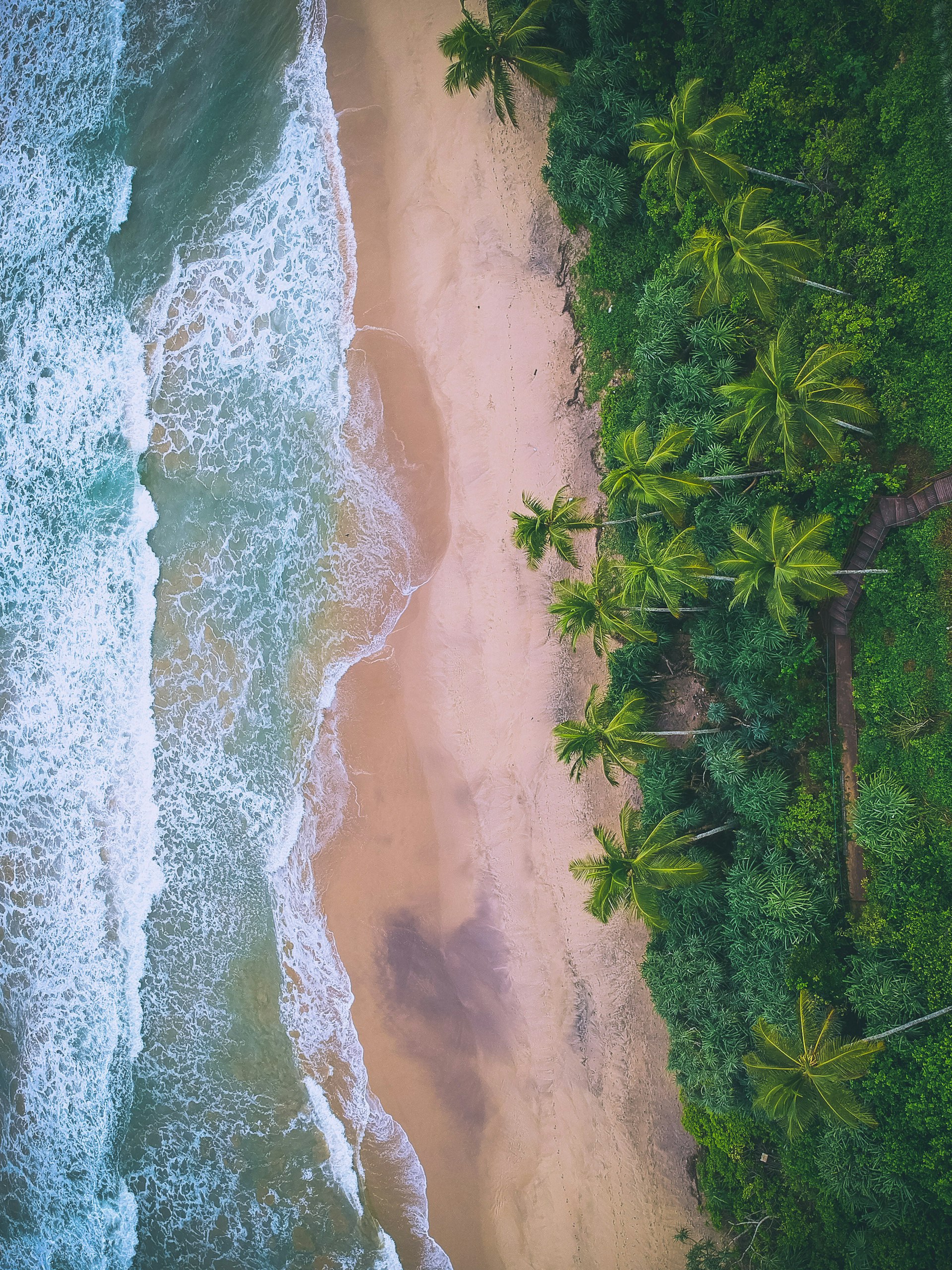 Kalkudah Beach — Batticaloa Travel Guide cover illustration
