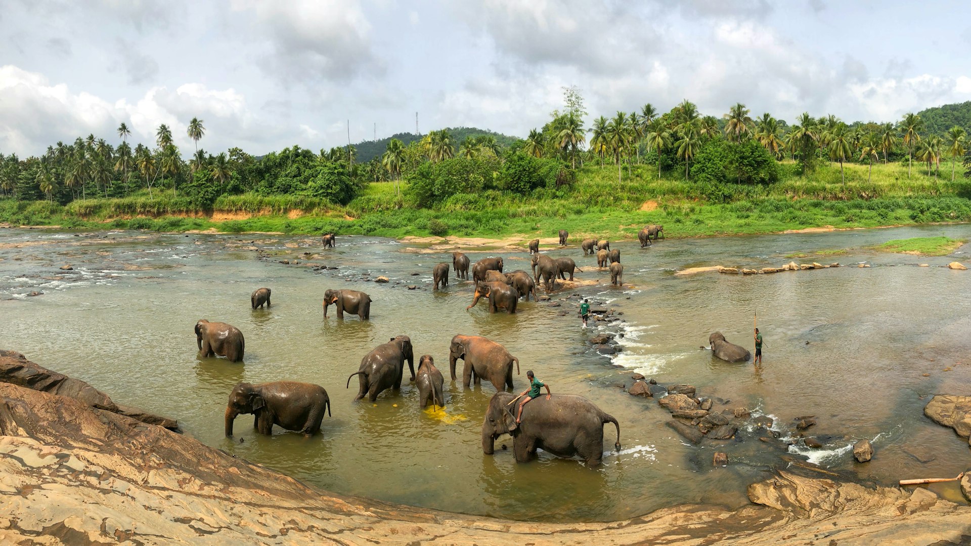 Kaudulla National Park Safari cover photo