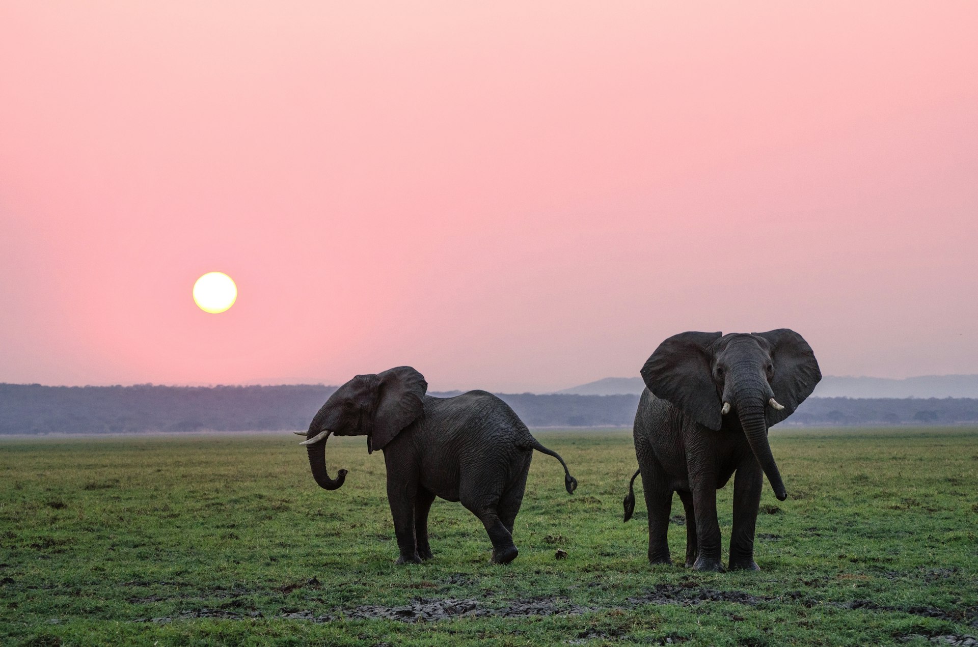 Kumana National Park Safari — Ampara Travel Guide cover illustration