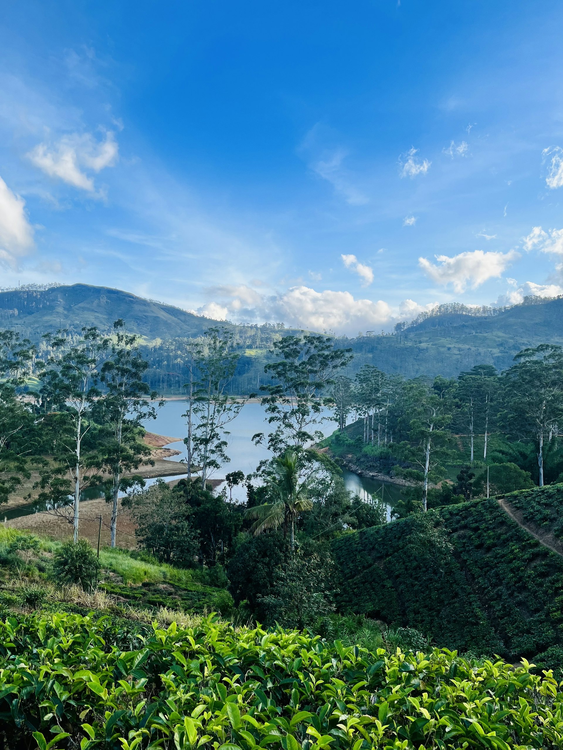 Kurunegala Lake and Park cover photo
