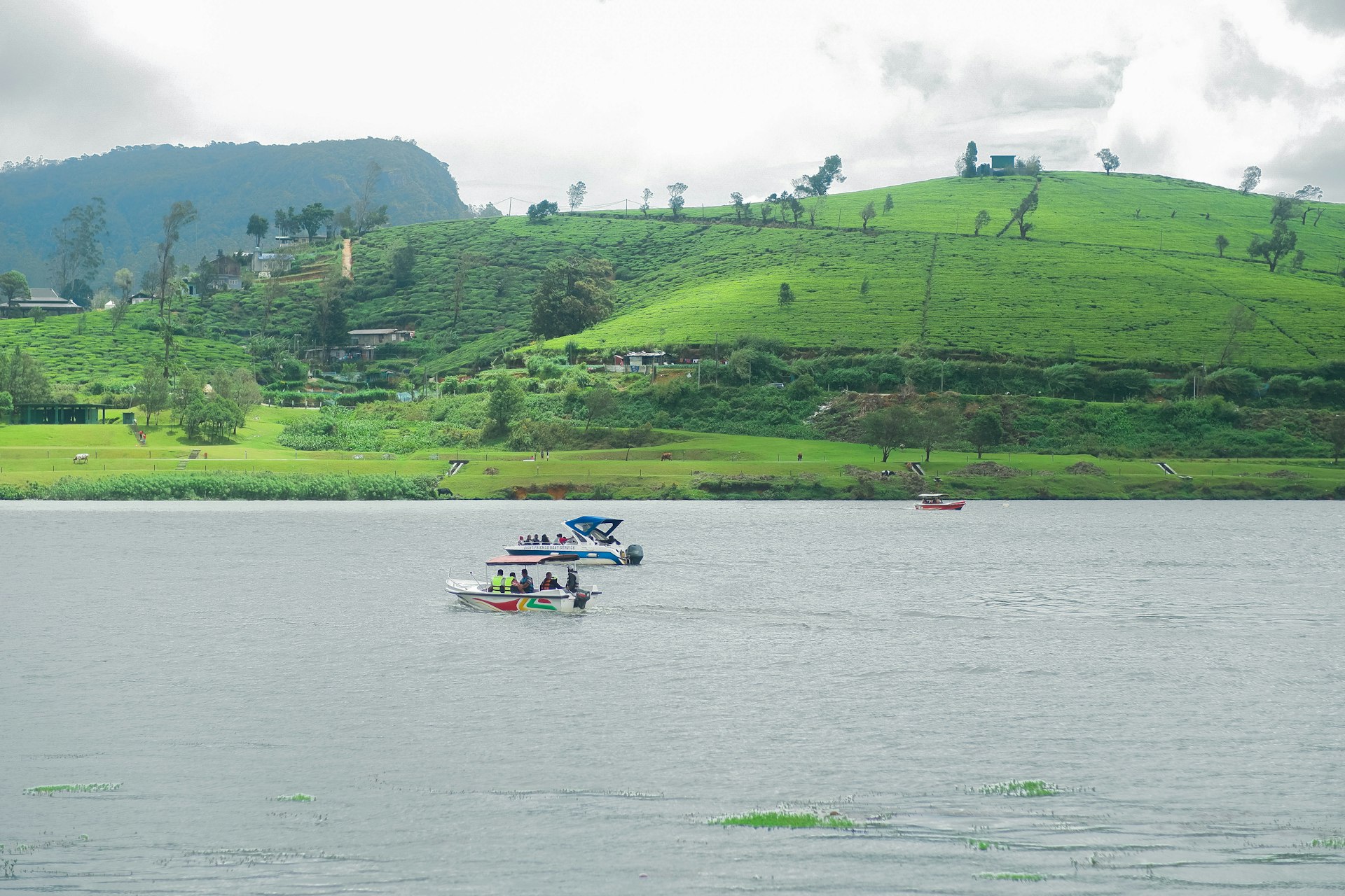 Lake Gregory — Nuwara Eliya Travel Guide cover illustration