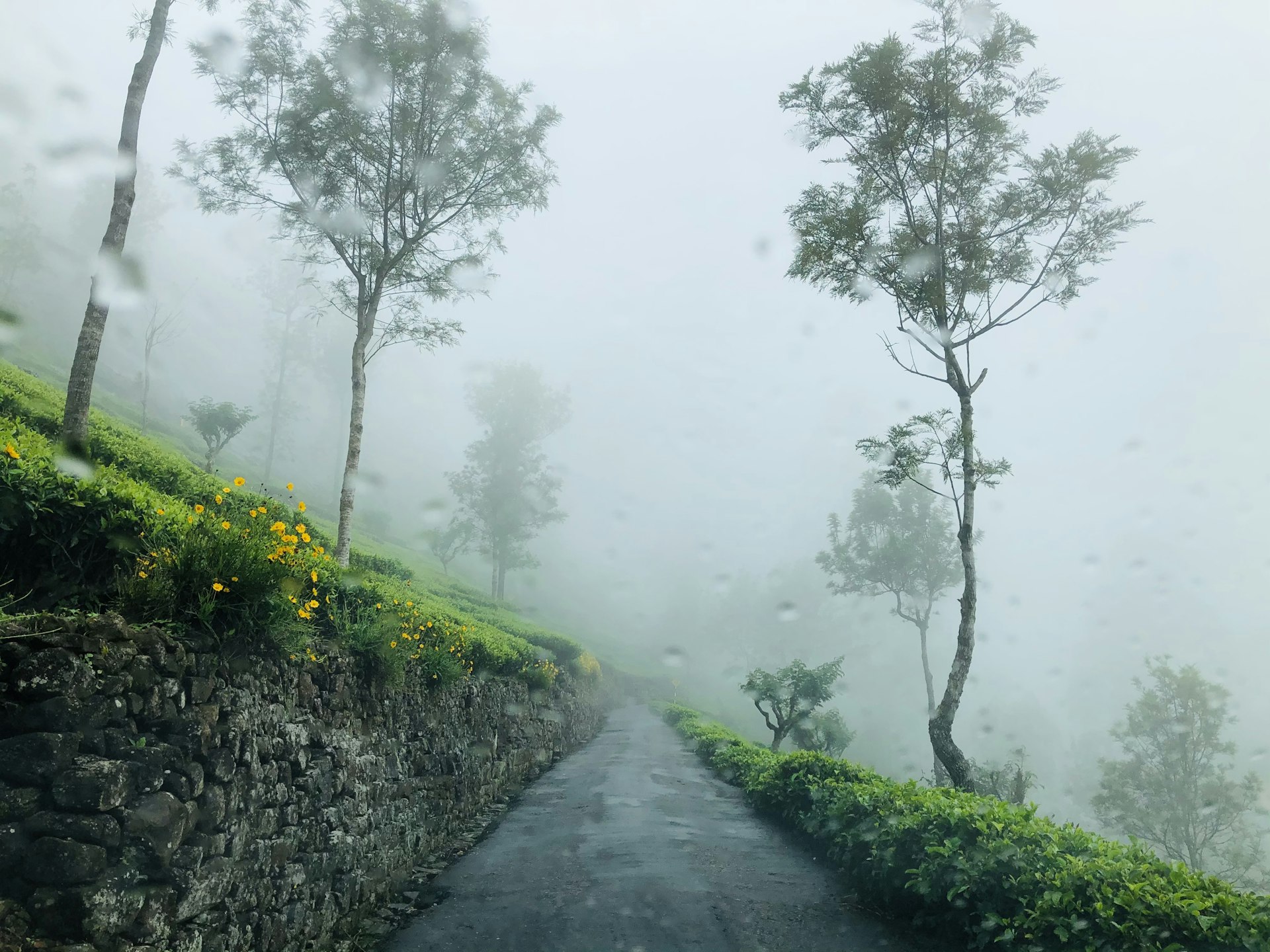 Lipton's Seat and Dambatenne Tea Factory — Badulla Travel Guide cover illustration