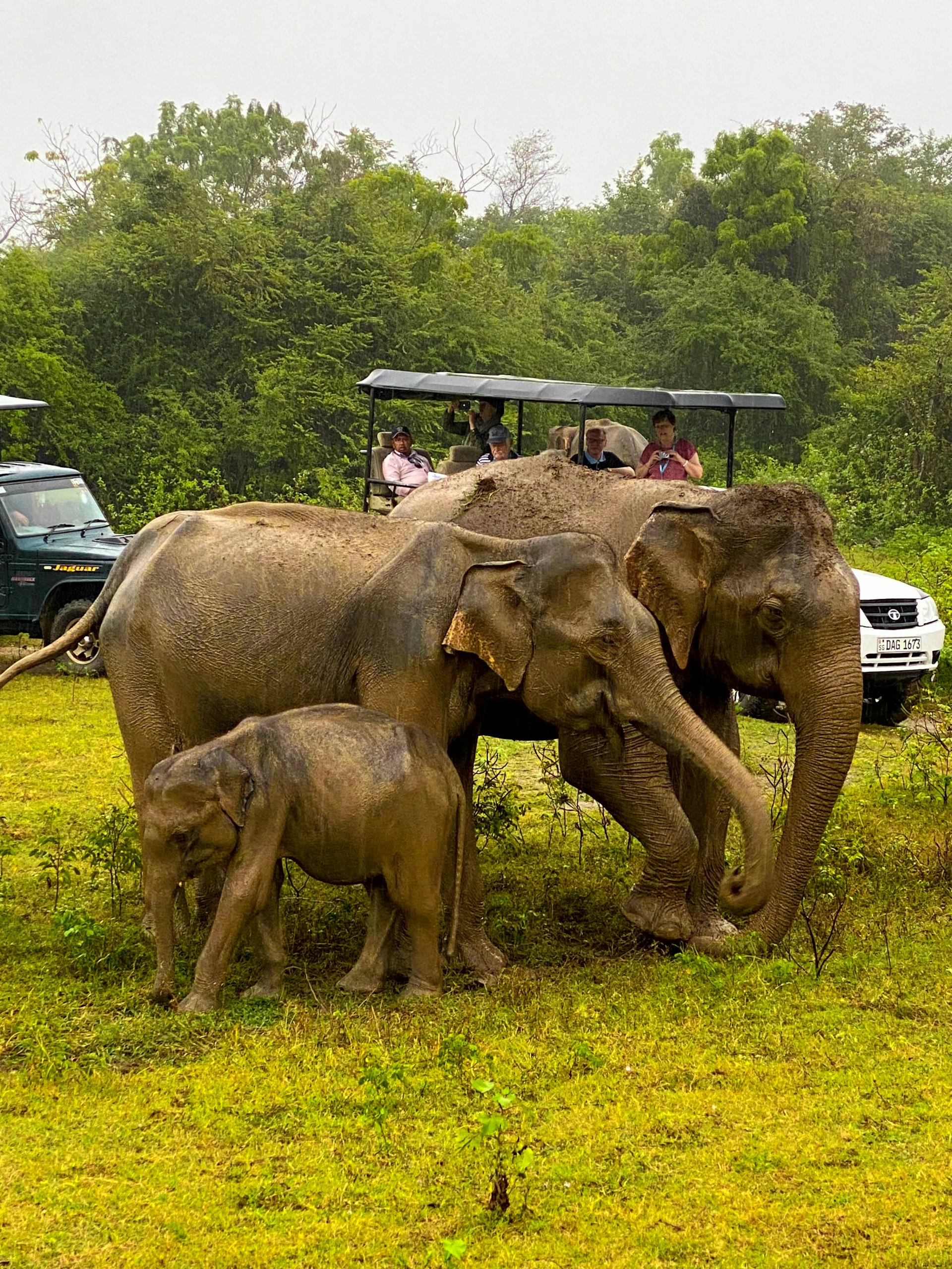 Lunugamvehera National Park — Monaragala Travel Guide cover illustration