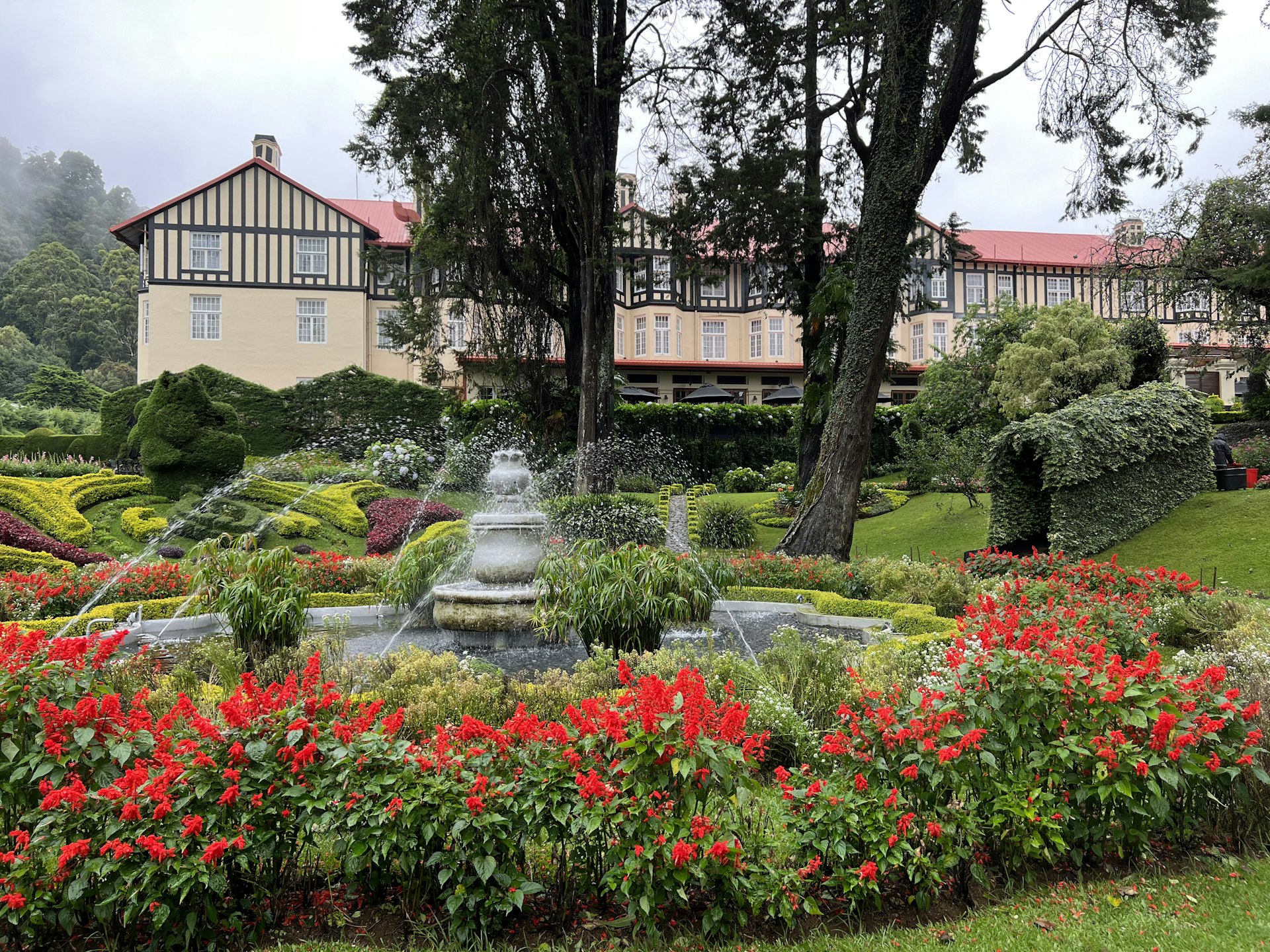 Victoria Park cover photo