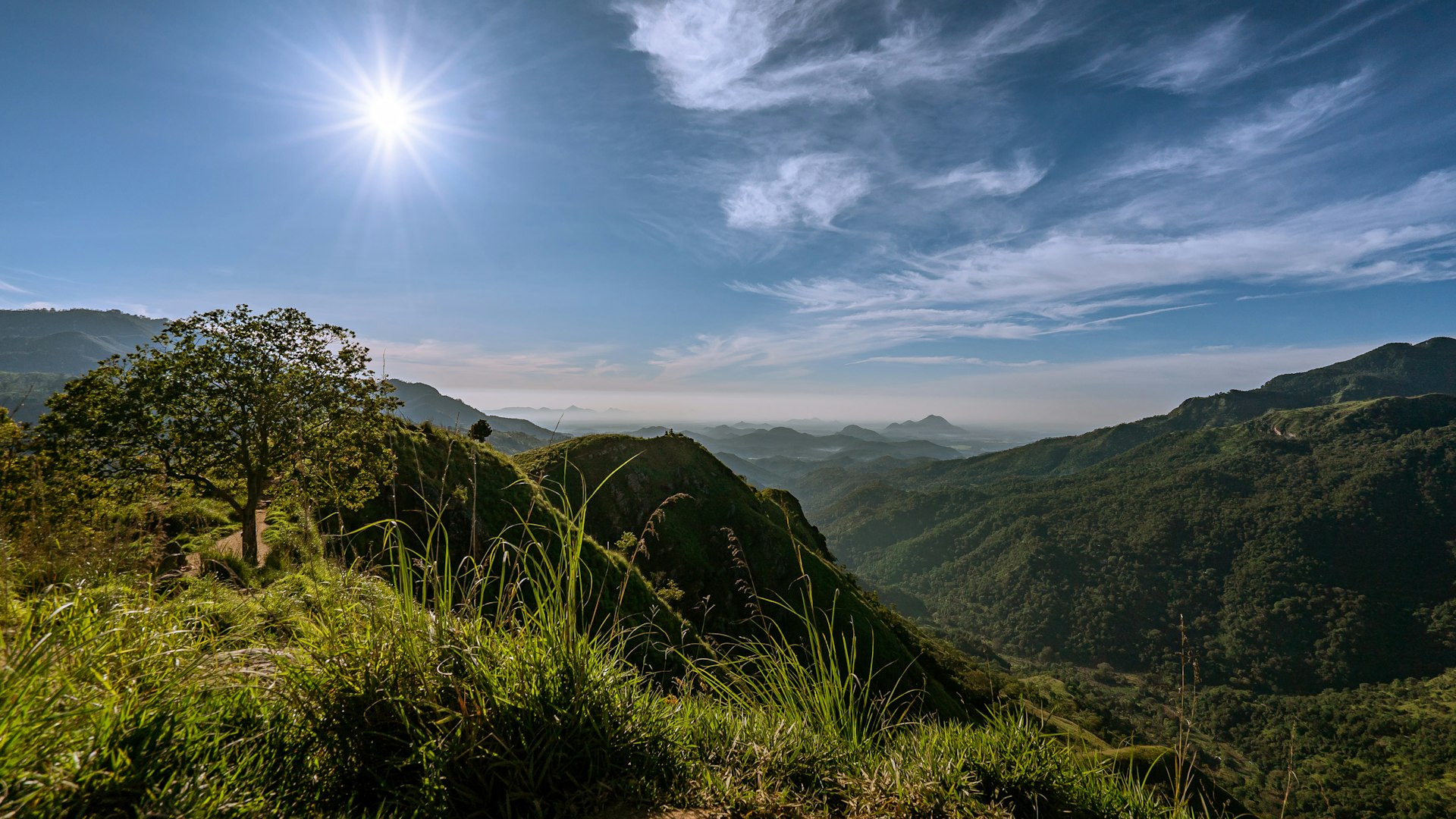 Uva Province Essentials: Scams, Beaches, Food, Gyms, Views cover illustration